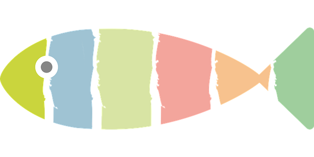 fish, sea, fishing