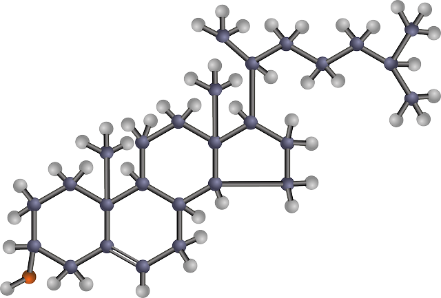 cholesterol normal range for female