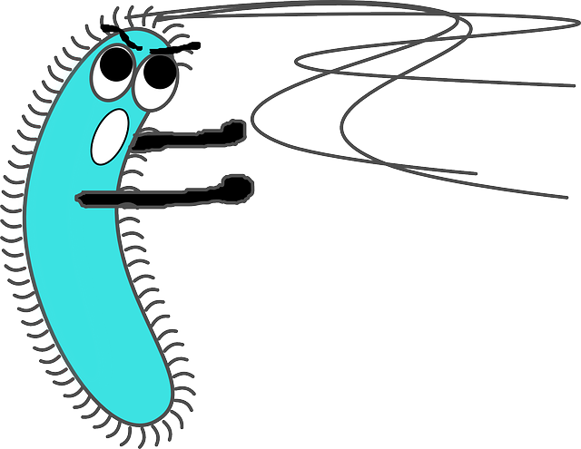 germ, virus, bacteria