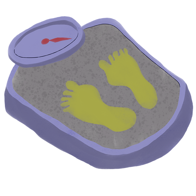 scale, weigh, weight