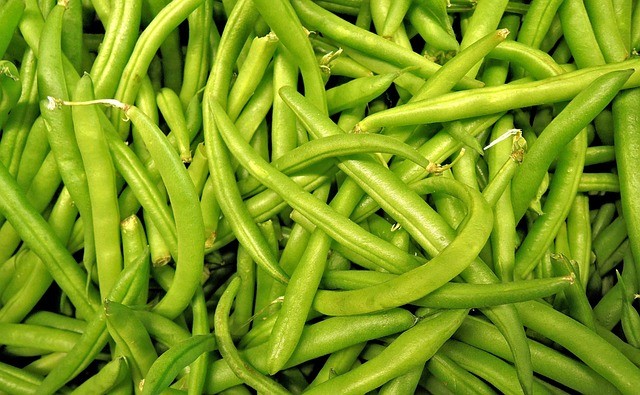 are beans ok for ketogenic diet