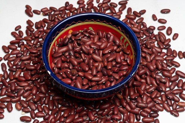 are pinto beans bad for low carb diet