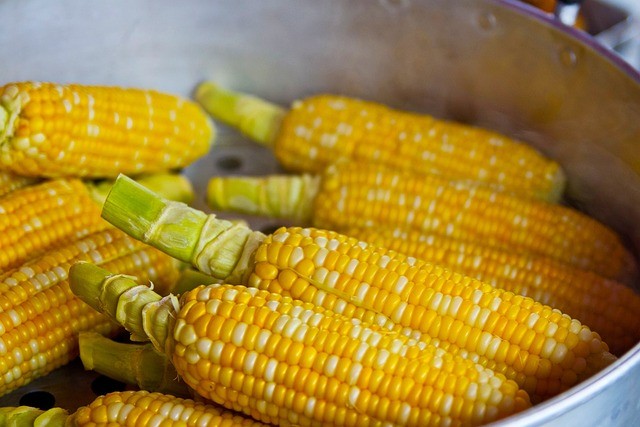 how many carbs in corn on the cob
