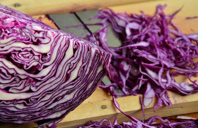 how many carbs on cabbage