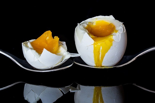 5 day egg diet results