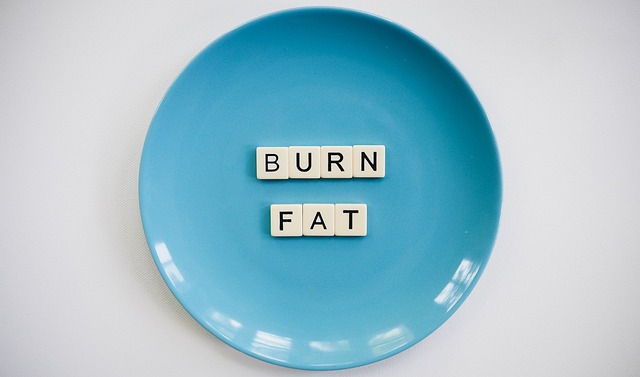 high fat diet effect on weight loss